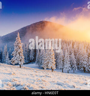 Soleggiato paesaggio invernale Foto Stock