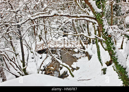 Ponte di legno sul percorso di 'Mavrio Spilia" (significa "grotta nera'), vicino al villaggio di Proussos, Evrytania, Grecia centrale. Foto Stock