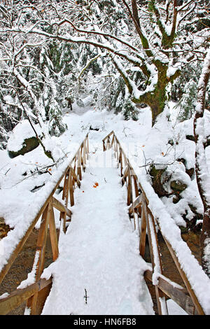 Ponte di legno sul percorso di 'Mavrio Spilia" (significa "grotta nera'), vicino al villaggio di Proussos, Evrytania, Grecia centrale. Foto Stock