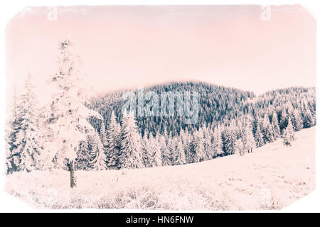 Winter landscape with snow in mountains Carpathians, Ukraine.Vin Foto Stock