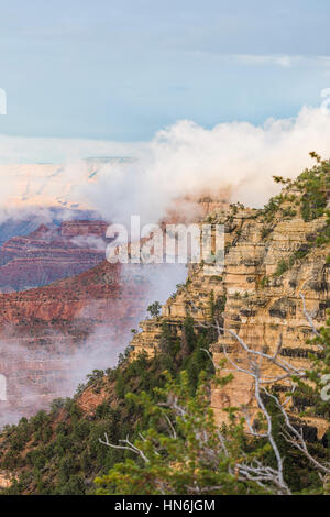 Misty e nebbioso Grand Canyon la scena durante il tramonto in South Rim, Arizona Foto Stock