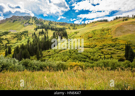 Albion bacino paesaggio paesaggio con prati alpini fotografato durante l'estate. Foto Stock