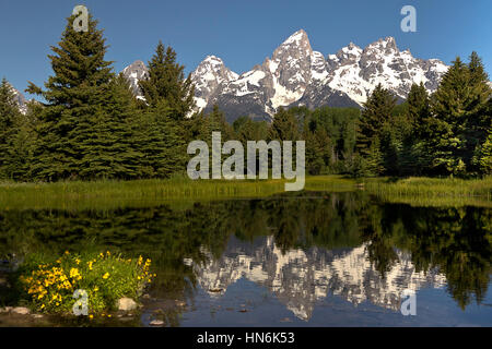 Una vista del monte Moran da Schwabacher atterraggio, il Parco Nazionale del Grand Teton, Jackson, Wyoming USA Foto Stock