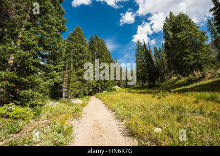 Albion bacino paesaggio paesaggio con prati alpini fotografato durante l'estate. Foto Stock