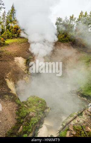 Bocca del drago molla nel Parco Nazionale di Yellowstone con vapore passando da grotta nel fango area del Vulcano Foto Stock