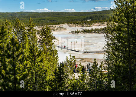 Parco Nazionale di Yellowstone, Stati Uniti d'America - 17 Maggio 2016: vista aerea di gente che camminava sul lungomare di Norris Geyser Basin da blue sorgenti calde e vapore f Foto Stock