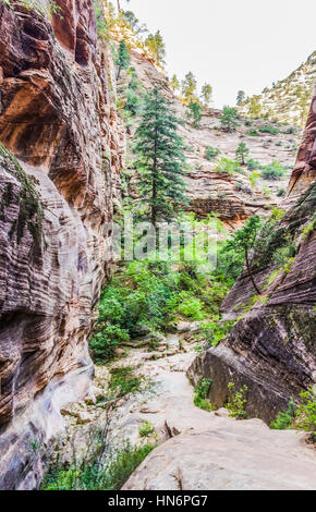 Punto di osservazione trail nel Parco Nazionale di Zion durante il giorno soleggiato Foto Stock