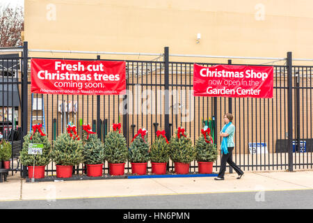 Burke, Stati Uniti d'America - 25 Novembre 2016: Walmart store facciata con holiday alberi di Natale sul display al centro del giardino e la donna a piedi Foto Stock