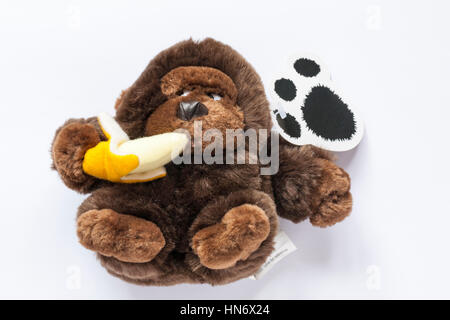 Paws gorilla di mangiare una banana morbido peluche isolati su sfondo bianco Foto Stock