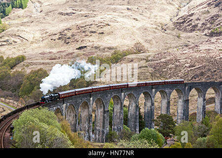 Treno a vapore il giacobita passa sul viadotto Glenfinnan a Glenfinnan Highland Scozia Scotland Foto Stock