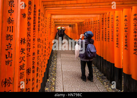 Red torii, Fushimi Inari Taisha (sacrario scintoista), Kyoto, Giappone Foto Stock