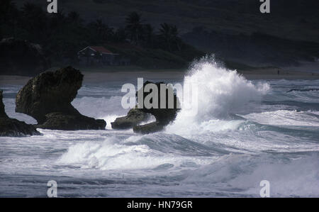 Stagliano dalla musica leggera rocce Barbados anello per il suono del surf Foto Stock