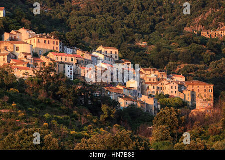 Villaggio sulla collina di Oletta, Corsica, Francia Foto Stock