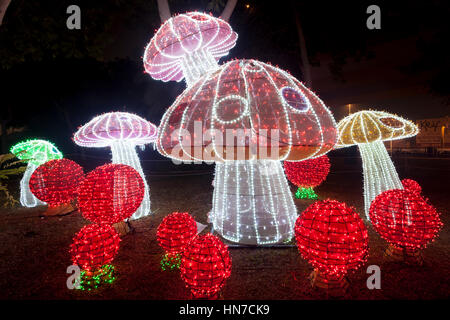 DUBAI, Emirati Arabi Uniti - 6 Dic, 2016: funghi bella installazione presso il giardino di Dubai Glow family theme park illuminato di notte. Emirati Arabi Uniti, Midd Foto Stock