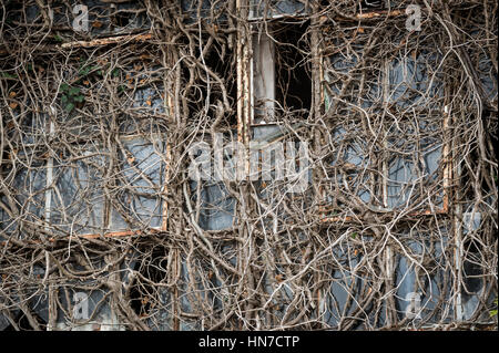 Edificio in Lydney Harbour Industrial Estate, Gloucestershire, UK. Foto Stock