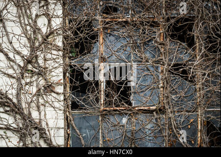 Edificio in Lydney Harbour Industrial Estate, Gloucestershire, UK. Foto Stock