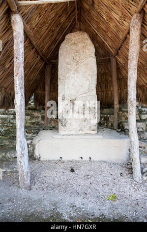 Rovine Maya di Coba, manufatti Maya, antica civiltà Maya, penisola dello Yucatan, stato messicano di Quintana Roo, Messico Foto Stock