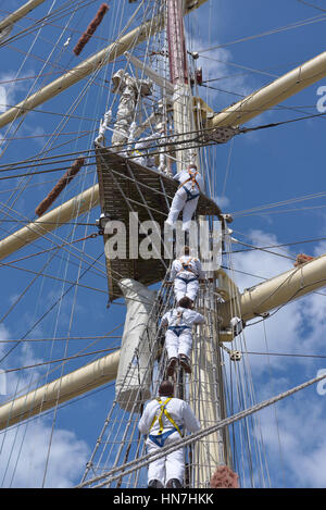 I marinai di preparare la loro barca vela per l'avvio di partenza durante l ultimo giorno di Tall Ships gare 2016 il 10 luglio 2016 ad Anversa, in Belgio Foto Stock