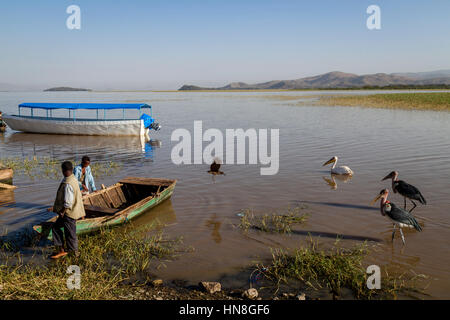 Il lago Ziway, Ethiopian Rift Valley, Etiopia Foto Stock