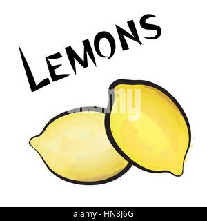 Limoni isolato. limone set. disegnati a mano insieme ad acquerello. illustrazione vettoriale collezione. Illustrazione Vettoriale