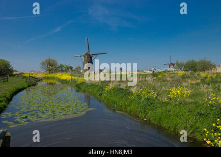 Storico olandese mulini a vento sulla polders a Kinderdijk, South Holland, Paesi Bassi, Patrimonio Mondiale dell UNESCO Foto Stock