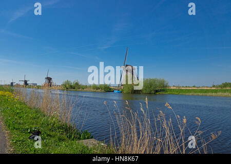 Storico olandese mulini a vento sulla polders a Kinderdijk, South Holland, Paesi Bassi, Patrimonio Mondiale dell UNESCO Foto Stock
