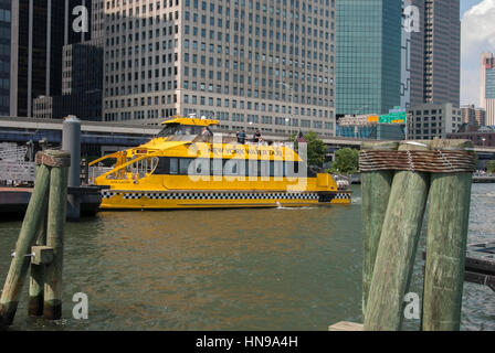 Giallo New York Water Taxi Flatow Gene Foto Stock