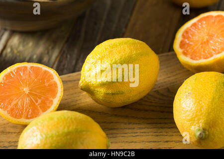 Materie organiche limoni rosa pronto per l'uso Foto Stock