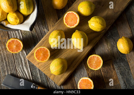 Materie organiche limoni rosa pronto per l'uso Foto Stock