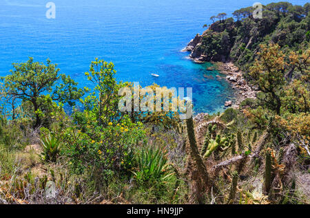 Estate mare costa rocciosa vista superiore con la fioritura degli alberi e il sole brilla sulla superficie dell'acqua (Spagna). Foto Stock