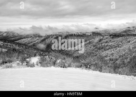 Mountain Oman tra Majdanpek e Donji Milanovac in Serbia, sul fiume Danubio. Il confine tra la Romania e la Serbia. Montagne e foreste coprono Foto Stock