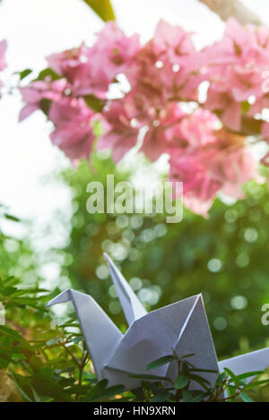 Carta origami swan nel giardino naturale sullo sfondo Foto Stock