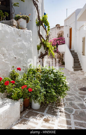 Fioriture tipiche Street con scale Paros, Grecia Foto Stock