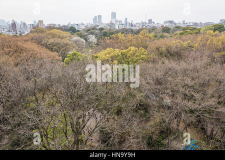 Grattacielo di Ikebukuro e Shinjuku, oltre il giardino Rikugien, Bunkyo-Ku, Tokyo, Giappone Foto Stock