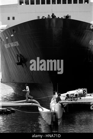 AJAXNETPHOTO. 1 giugno,1984.Plymouth in Inghilterra. -OSTAR GARA- EQUIPAGGIO DI FREIGHTER MERCHANT partecipante ottenere Bird's-EYE DI RIPARAZIONI essendo effettuata sulla gara YACHTS 33 ESPORTAZIONE E BIOTHERM MILBAY nel dock. Foto:JONATHAN EASTLAND/AJAX REF:840106 31 Foto Stock