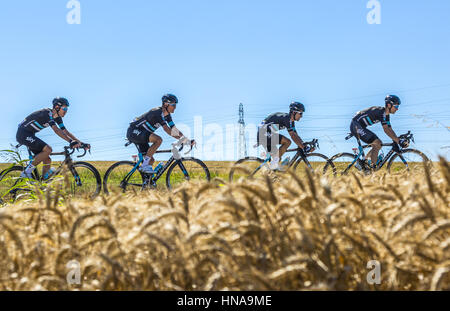 Saint-Quentin-Fallavier,Francia - Luglio 16, 2016: quattro ciclisti del Team Sky, equitazione in una pianura di grano durante la fase 14 del Tour de France 2016. Foto Stock