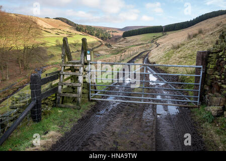 Gateway che conduce ad una pista melmosa a Arnfield brook, Tintwistle, Derbyshire, Inghilterra Foto Stock