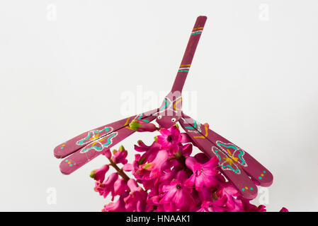 Giocattolo di bilanciamento di libellula realizzata in bambù e dipinte a mano in equilibrio su un fiore di giacinto Foto Stock