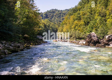 Barca rafting sulle rapide del fiume di montagna Tara in Montenegro Foto Stock