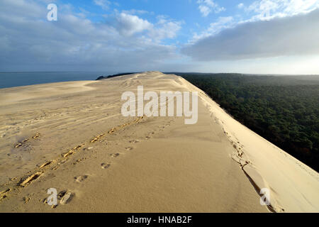 La Duna del Pyla nella baia di Arcachon Foto Stock