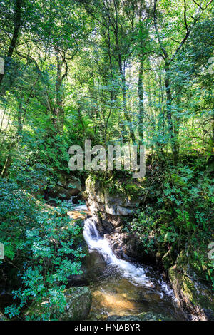 Fiume di montagna, Corsica, Francia Foto Stock