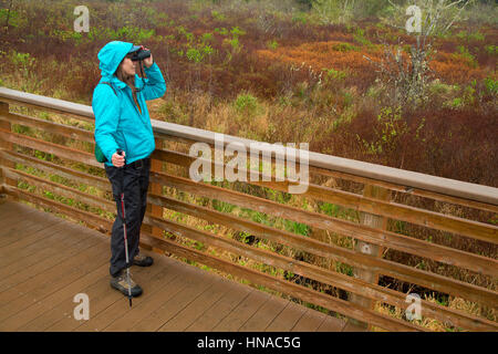 Birdwatching sul supporto di visualizzazione lungo le zone umide dichiarazioni interpretative Trail, Cullaby Lake County Park, Contea di Clatsop, Oregon Foto Stock