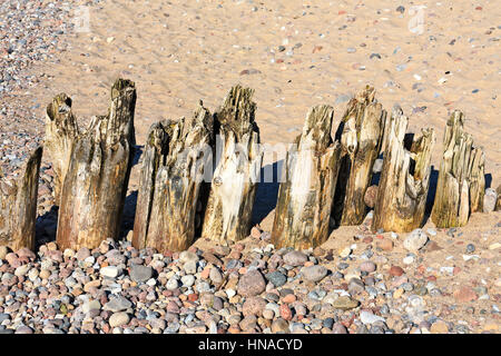 A spiovente in legno i frangiflutti sulla spiaggia sulla costa baltica in Kolobrzeg, Polonia Foto Stock