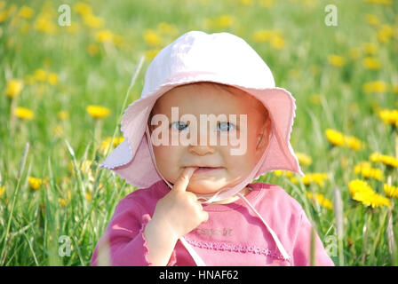 Kleines Maedchen, 1 Jahr, in Loewenzahnwiese - bambina in un prato di dente di leone Foto Stock