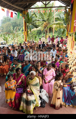 Nozze indù, Deniyaya, Sri Lanka Foto Stock