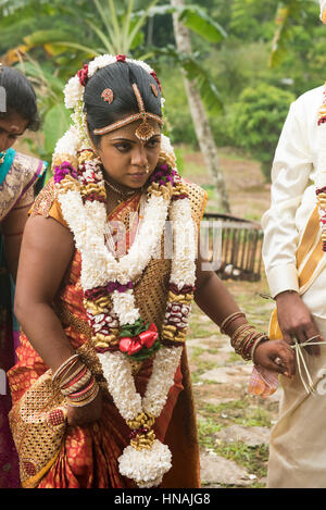 Sposa matrimonio induista, Deniyaya, Sri Lanka Foto Stock