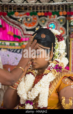 Sposa matrimonio induista, Deniyaya, Sri Lanka Foto Stock