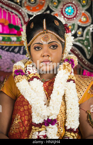 Sposa matrimonio induista, Deniyaya, Sri Lanka Foto Stock