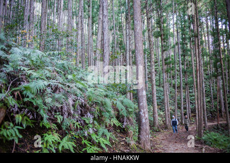 Pellegrini in Kumano Kodo vicino Hosshinmon-oji, Nakahechi percorso, Wakayama, Kinki, Giappone Foto Stock