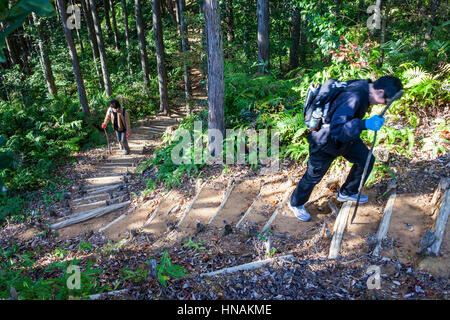 Pellegrini in Kumano Kodo vicino Kumano Hongu Taisha grand Santuario, Nakahechi percorso, Wakayama, Kinki, Giappone Foto Stock